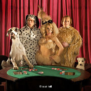 Dog Poker from That Mitchell and Webb Look, series 4