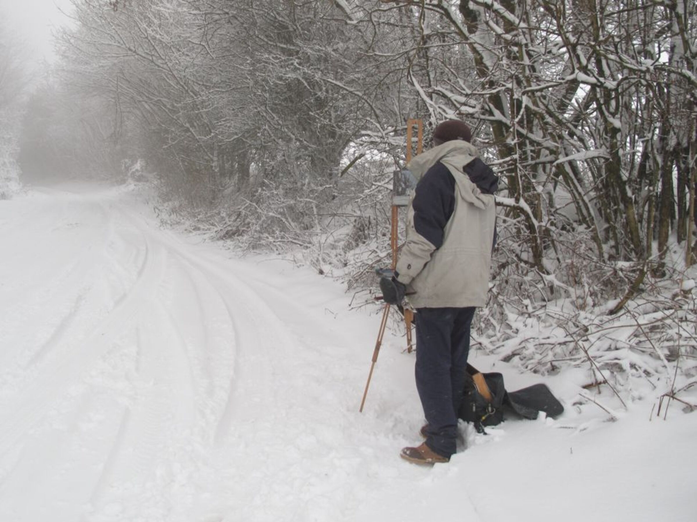 Mad Roy in the snow