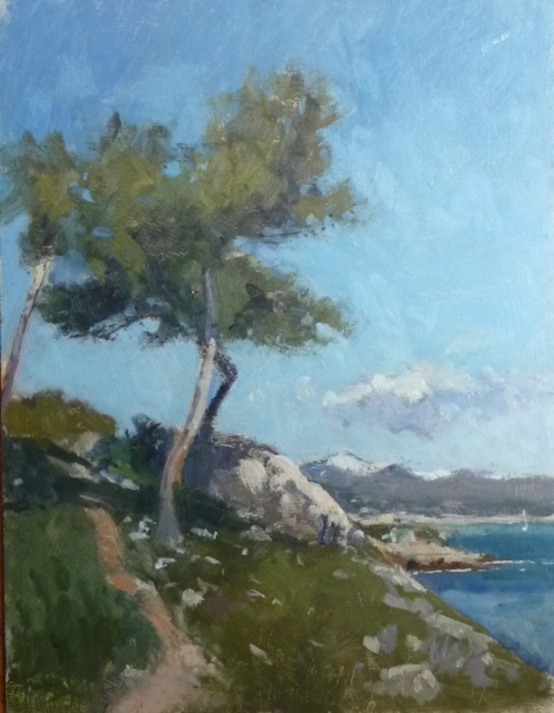 Parasol Pines Cap DAntibes