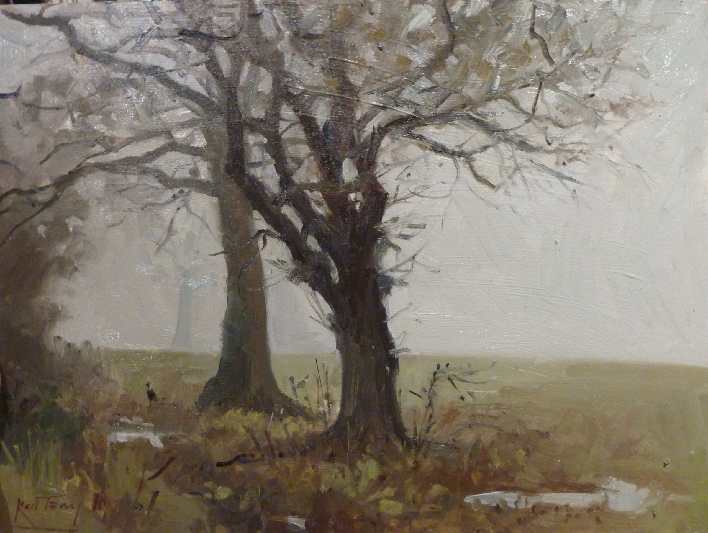 Sussex trees, Winter Fog