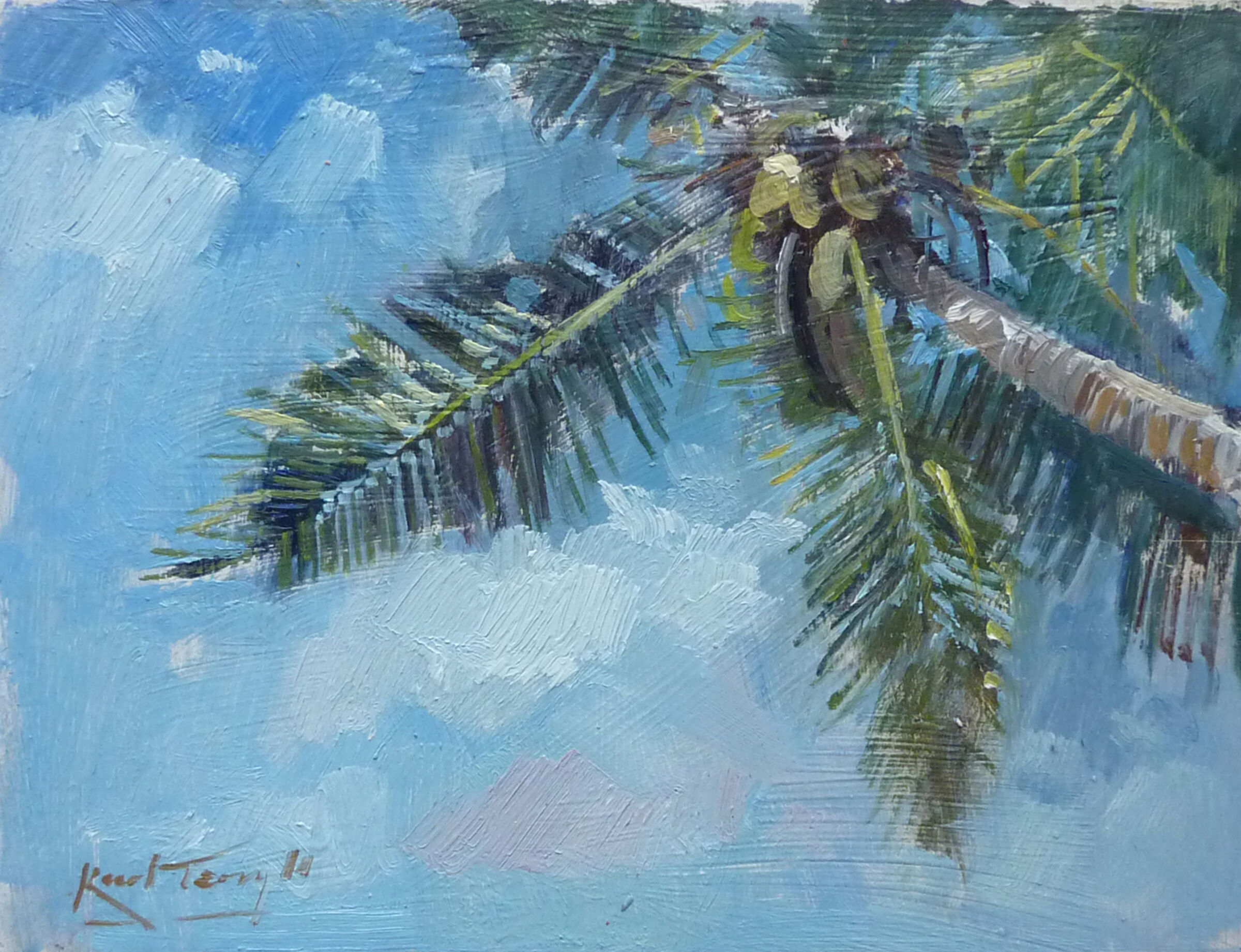Seychelles palm study