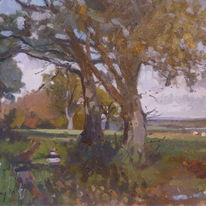 autumn trees Peasmarsh