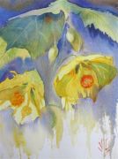 28 Sheltering Canaries