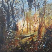 100 Woodland Bright