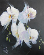 Orchids