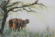 Highland Spring