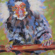 Marmoset