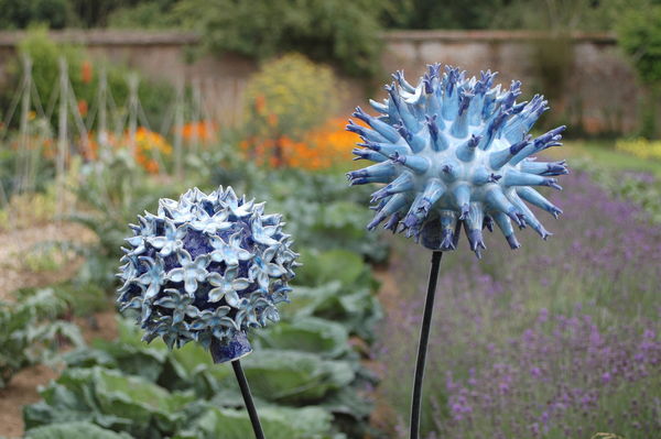 Globe Thistles