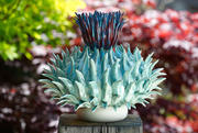 Thistle