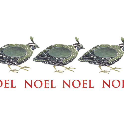 Noel