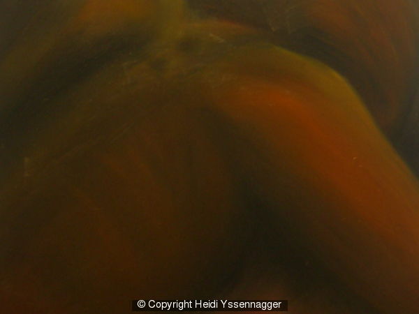 'Despair' 2009