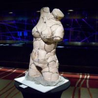 Scarred Venus