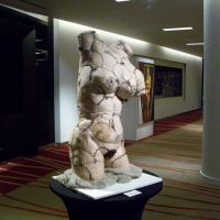 Scarred Venus