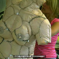 Scarred Venus 2003