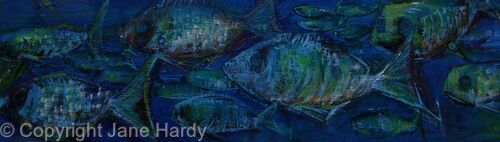 Big Fish Little Fish