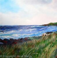 Summer Breeze- Hayle Beach Cornwall