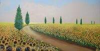Sun Flower Fields
