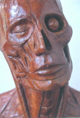 Anatomical study