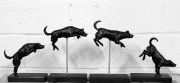 Small leaping dogs