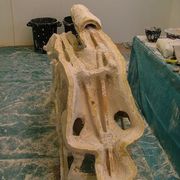 Front half of the mould is filled with plaster (1 inch thick) whitch is strengthened by a wooden skeleton.