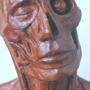 Anatomical study