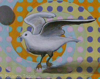 Seagull