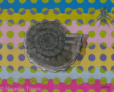 Fossil