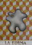 The Form