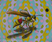 Wasp
