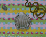 Shell