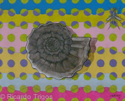 Fossil