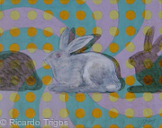Hare