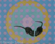 Mice