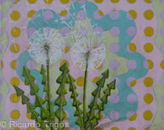 Dandelion