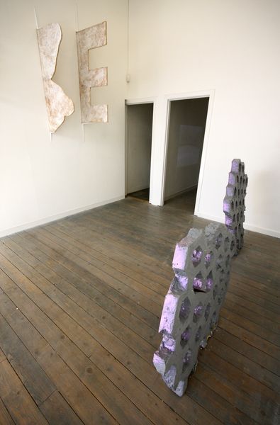 Lacks, the duch gallery, 2010