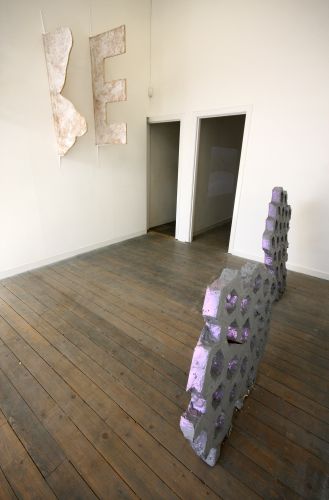 Lacks, the duch gallery, 2010