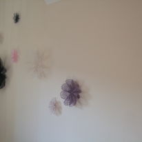 Selection of Blooms on wall
