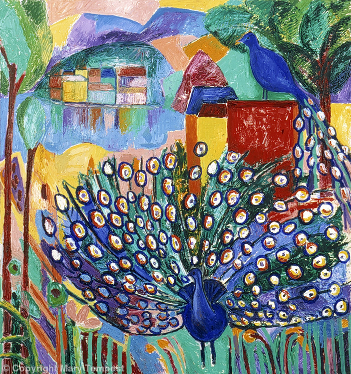 Peacocks in the Hills