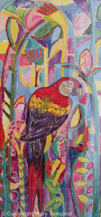 Red Macaw