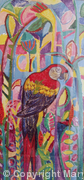 Red Macaw