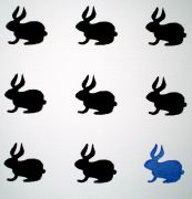 Black Rabbit, Blue Rabbit