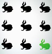 Black Rabbit, Green Rabbit