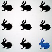 Black Rabbit, Blue Rabbit