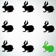 Black Rabbit, Green Rabbit