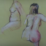 Liz -two studies