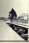 Street Scene No25