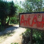 Art Ark