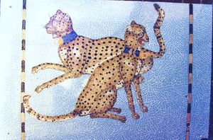 Cheetas, Private Commission