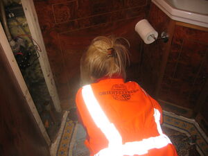 Grouting Chatsworth