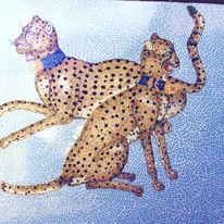 Cheetas, Private Commission